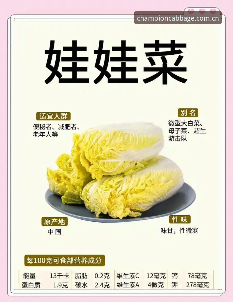 冠军白菜苹果下载完整指南：如何选择最佳下载渠道与版本