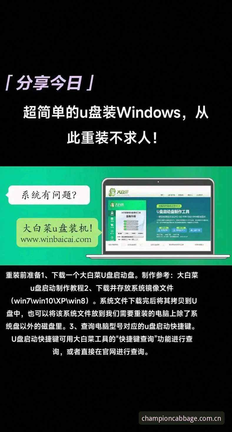 冠军白菜怎么安装？从下载到使用的全程操作教程