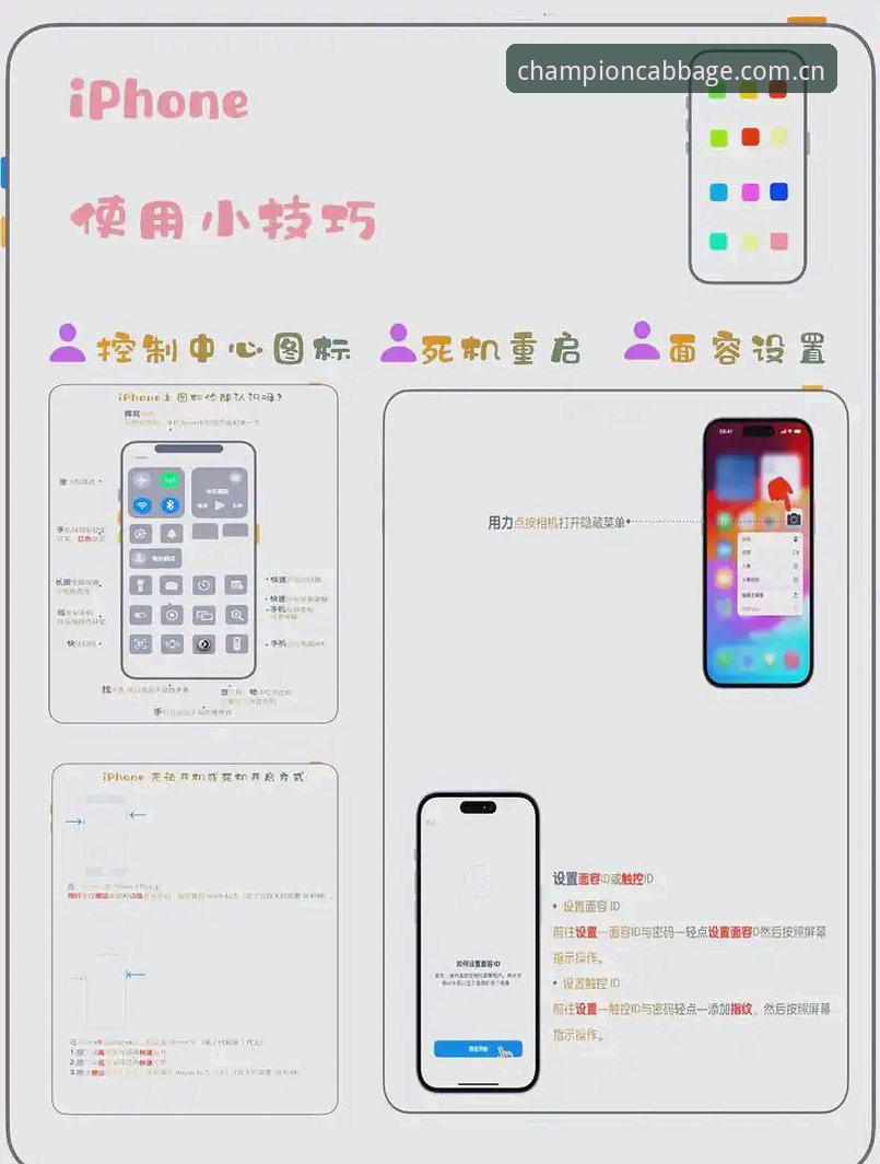 冠军白菜苹果版 冠军白菜苹果版实用指南:资深用户分享v3.0.0版本下载与安全使用心得