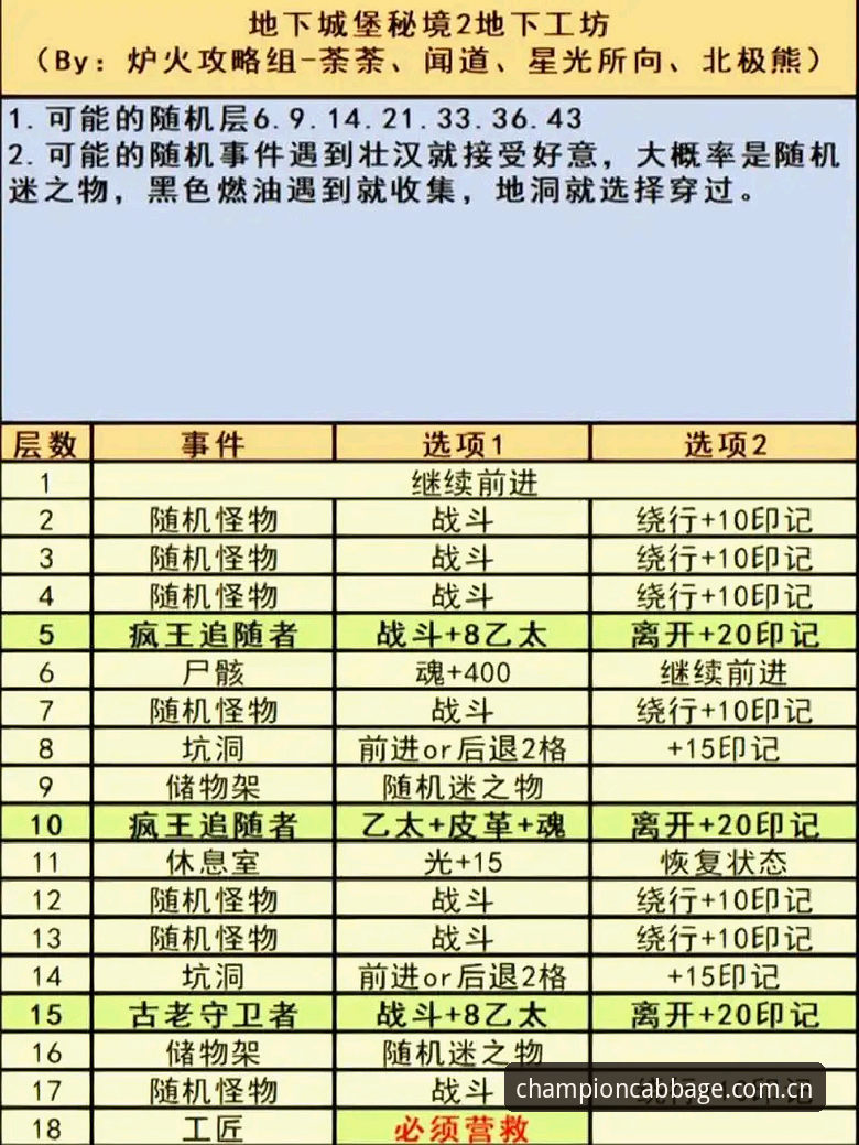 冠军白菜安卓版避坑与版本管理：冠军白菜论坛实用指南