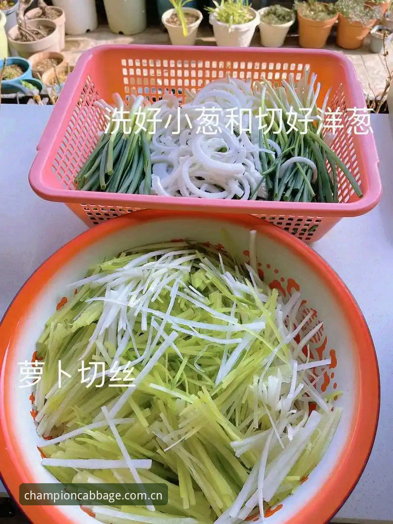 6个步骤掌握冠军白菜苹果下载：从新手到安全达人的完整指南